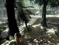 Devil May Cry 4 en pleine jungle