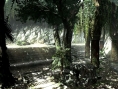 Devil May Cry 4 en pleine jungle