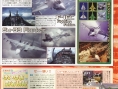 Ace Combat 6 : plus d'images