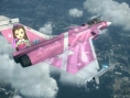 Nouveaux avions pour AC6