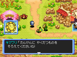 Pokémon Donjon Mystère 2 dévoilé sur DS