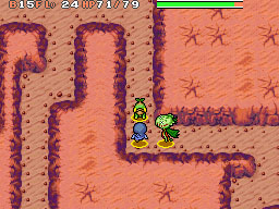 Pokémon Donjon Mystère 2 en images