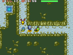 Pokémon Donjon Mystère 2 en images