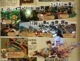 Final Fantasy Tactics A2 en images