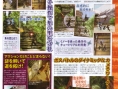 Ninja Gaiden DS en images