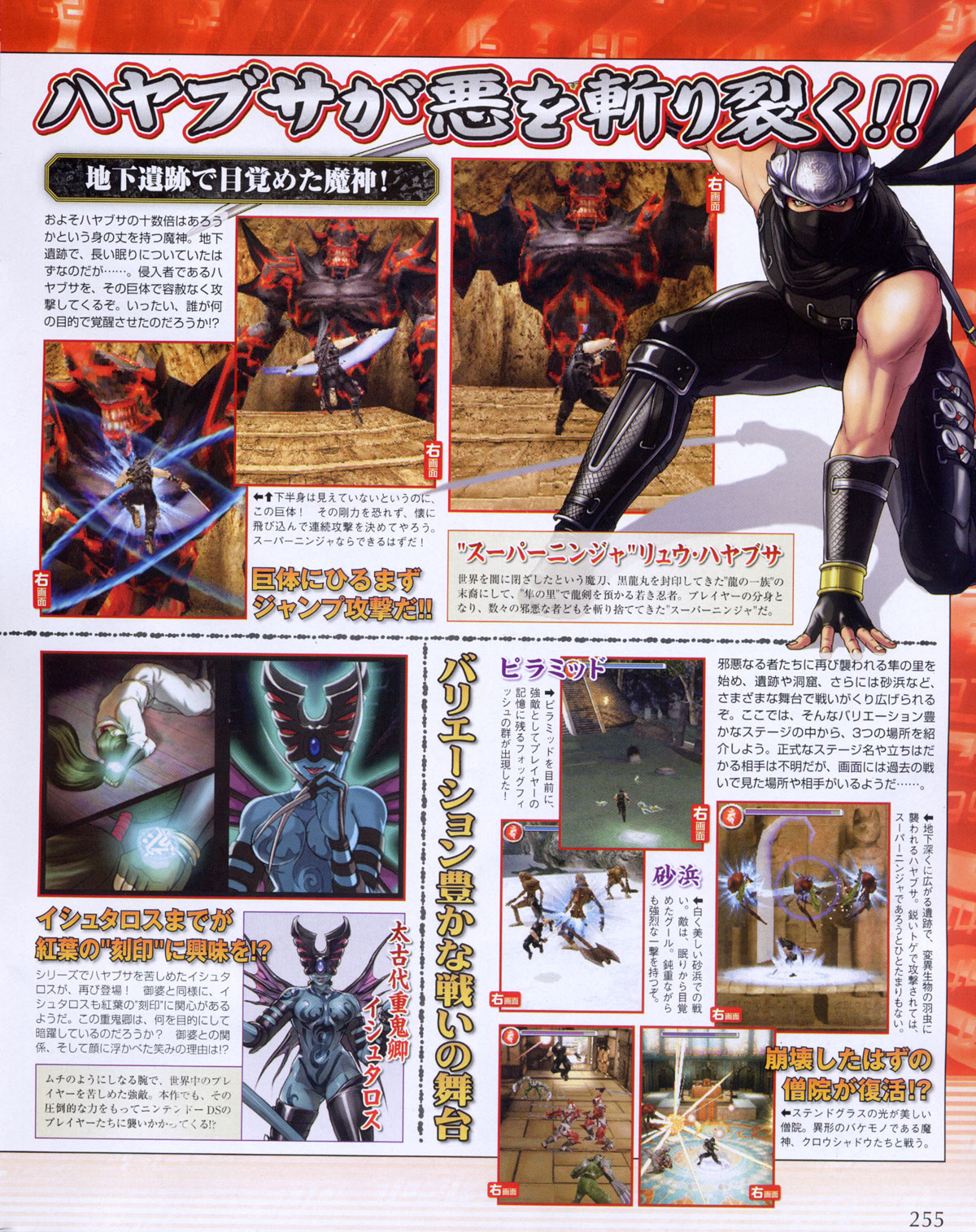 Ninja Gaiden DS en pleine action