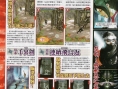 Ninja Gaiden DS à l'affiche