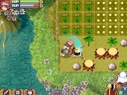 Rune Factory 2: new images
