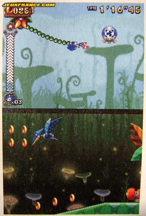 Sonic Rush Adventure en images
