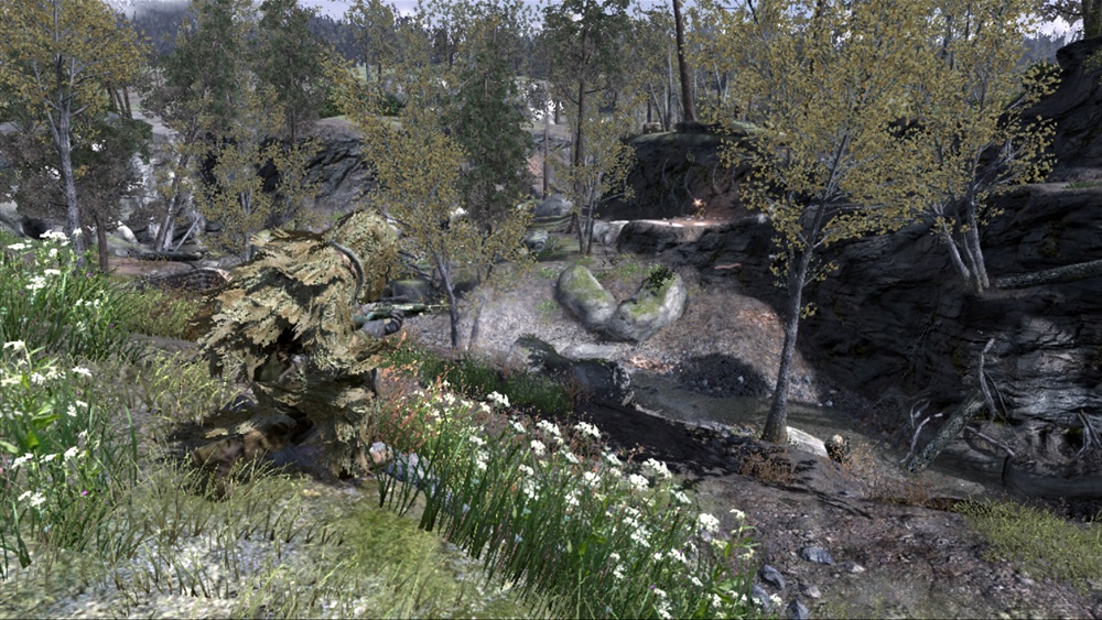 CoD4 : Variety pack en approche
