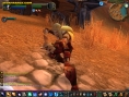 World Of Warcraft : images maison