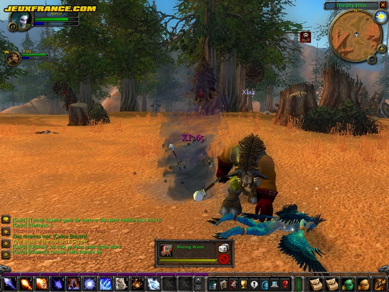 World Of Warcraft : images maison