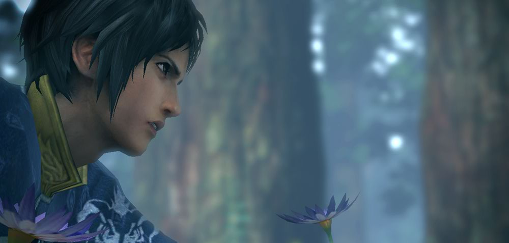 The Last Remnant : le plein d'images