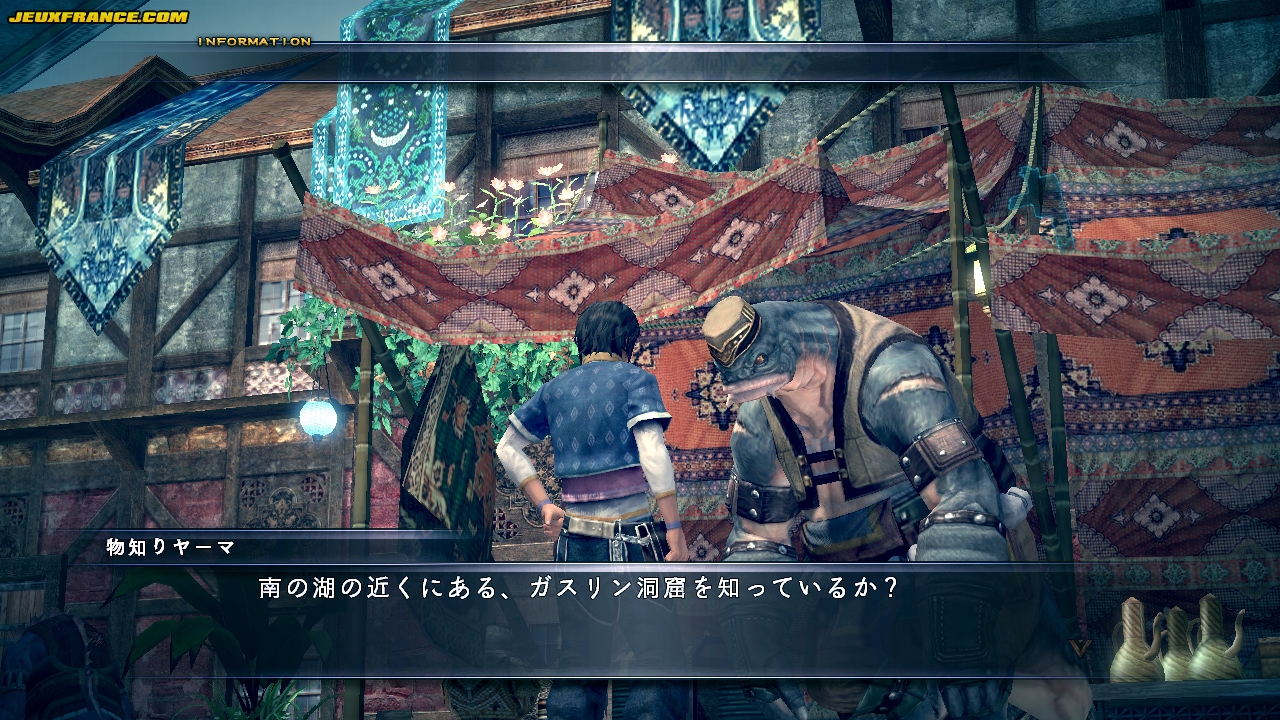 The Last Remnant en images