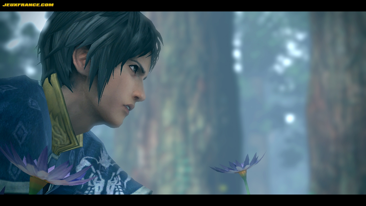 The Last Remnant en images