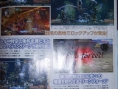 The Last Remnant se dévoile