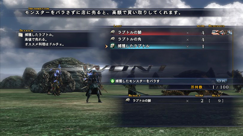 The Last Remnant : nouvelles images