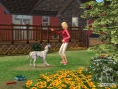 Les Sims : Histoires d'animaux se précise