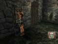 TR : Anniversary s'illustre sur Wii