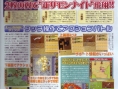 Summon Night s'exhibe sur DS