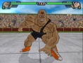 DBZ : Budokai Tenkaichi 3 en action