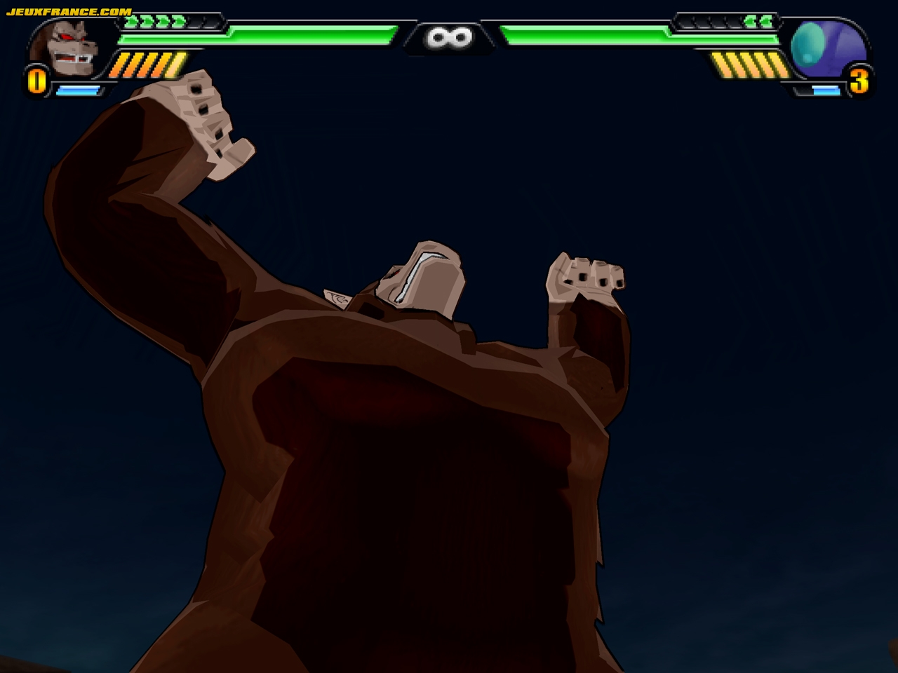 DBZ : Budokai Tenkaichi 3 s'anime
