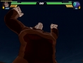 DBZ : Budokai Tenkaichi 3 s'anime