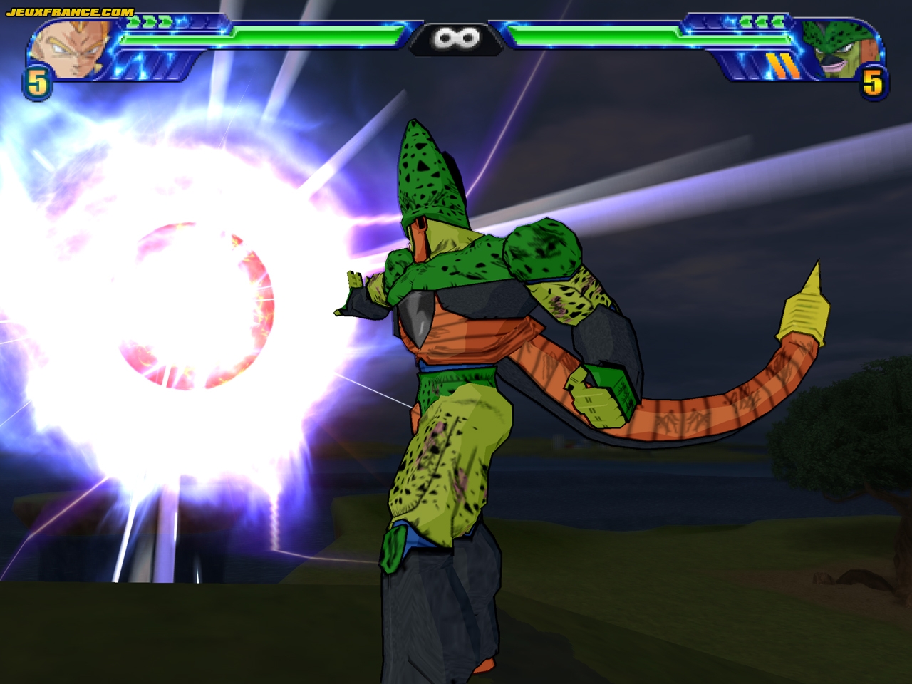 DBZ : Budokai Tenkaichi 3 s'anime