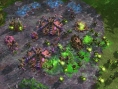 Starcraft II : une image