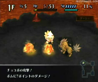 Chocobo's Dungeon Wii en vidéo