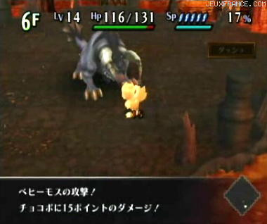 Chocobo's Dungeon Wii en vidéo
