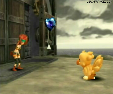 Chocobo's Dungeon Wii en vidéo