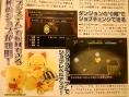 Chocobo's Dungeon à l'honneur sur Wii