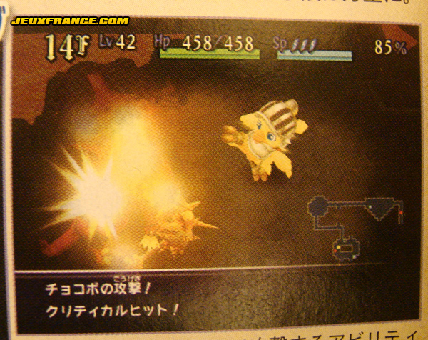 Chocobo's Dungeon à l'honneur sur Wii