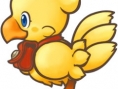 Chocobo's Dungeon fait le plein d'images