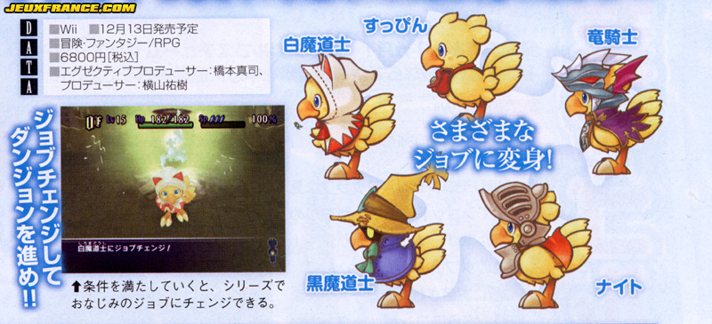 Chocobo's Dungeon Wii en images