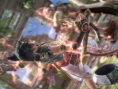 Soul Calibur IV : new images