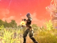 Aion prend son envol