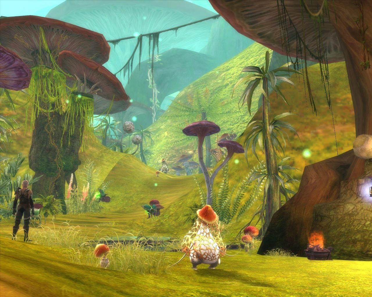 Aion prend son envol