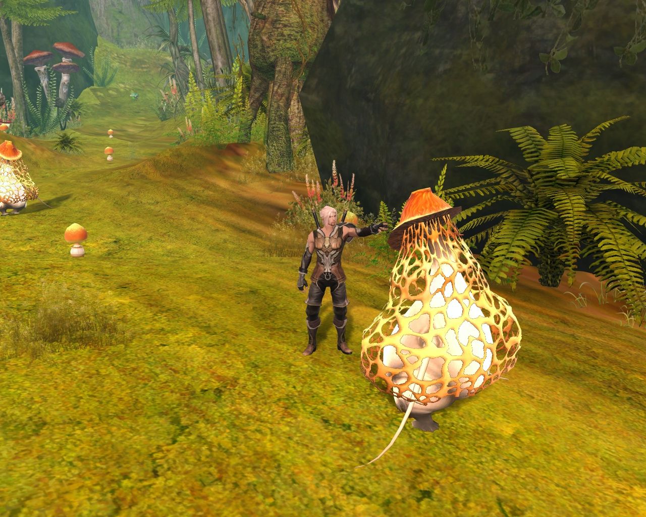 Aion prend son envol