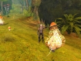 Aion prend son envol