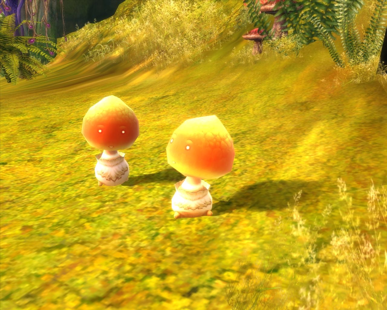 Aion prend son envol