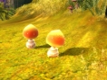 Aion prend son envol