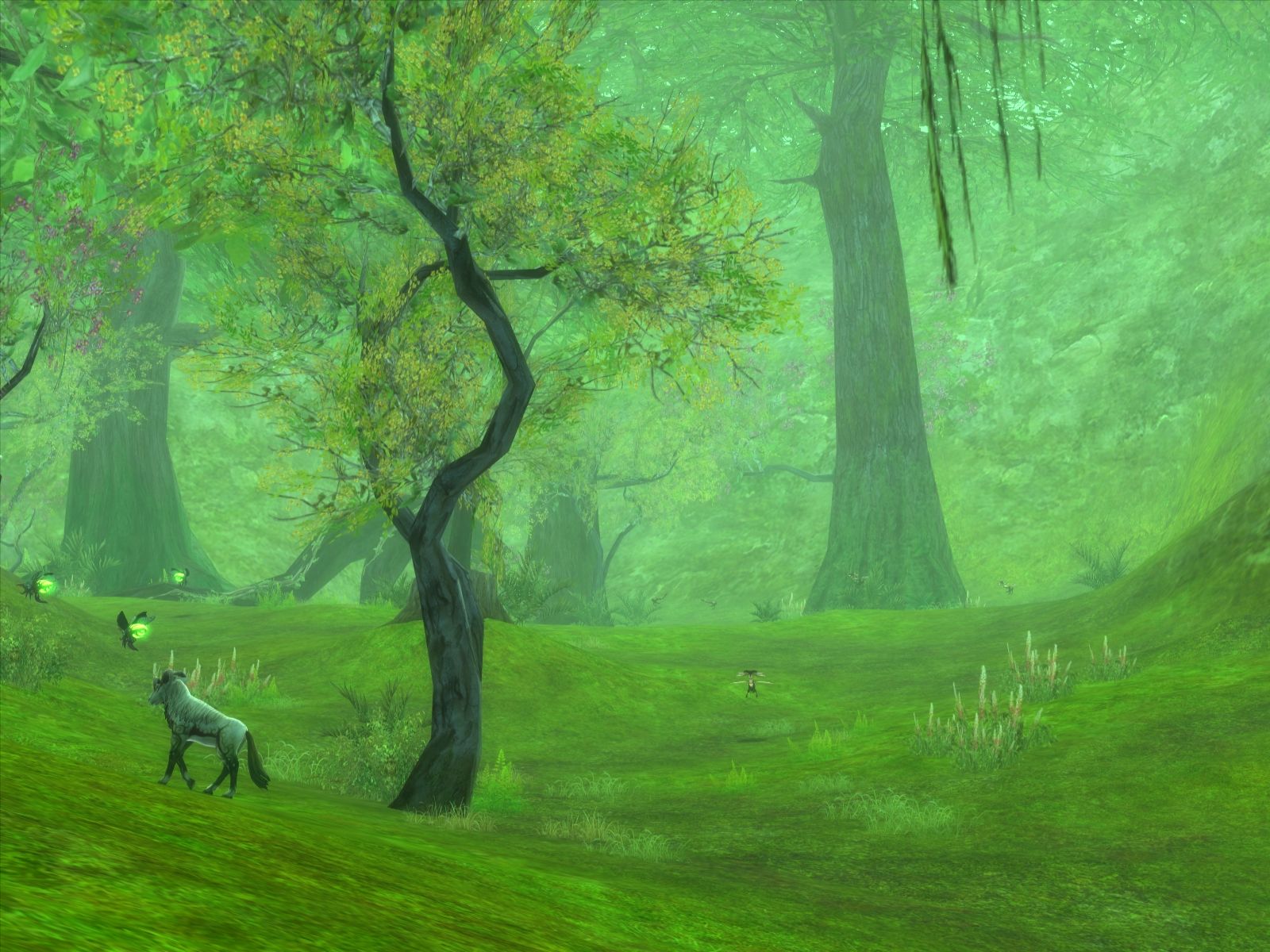 Aion prend son envol