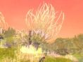 Aion entre en action
