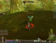 Aion : 30 images maison