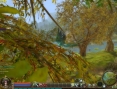 Aion : 30 images maison