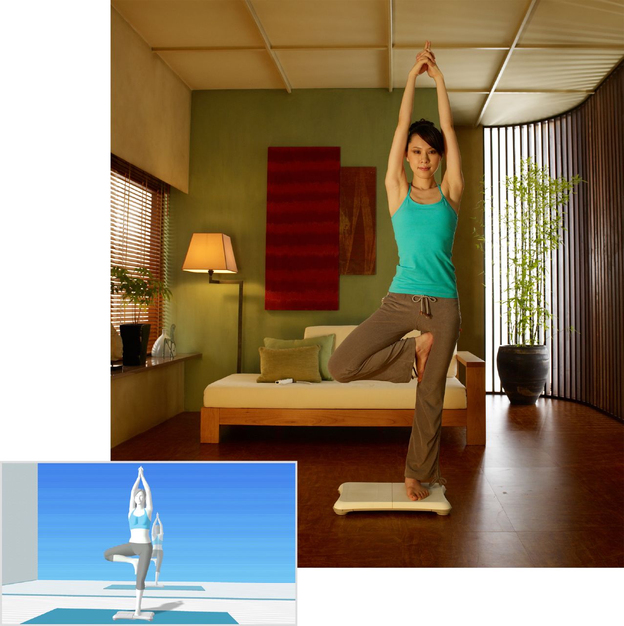Vidéo Wii Fit