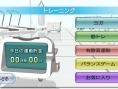 Wii Fit : 4 millions ?