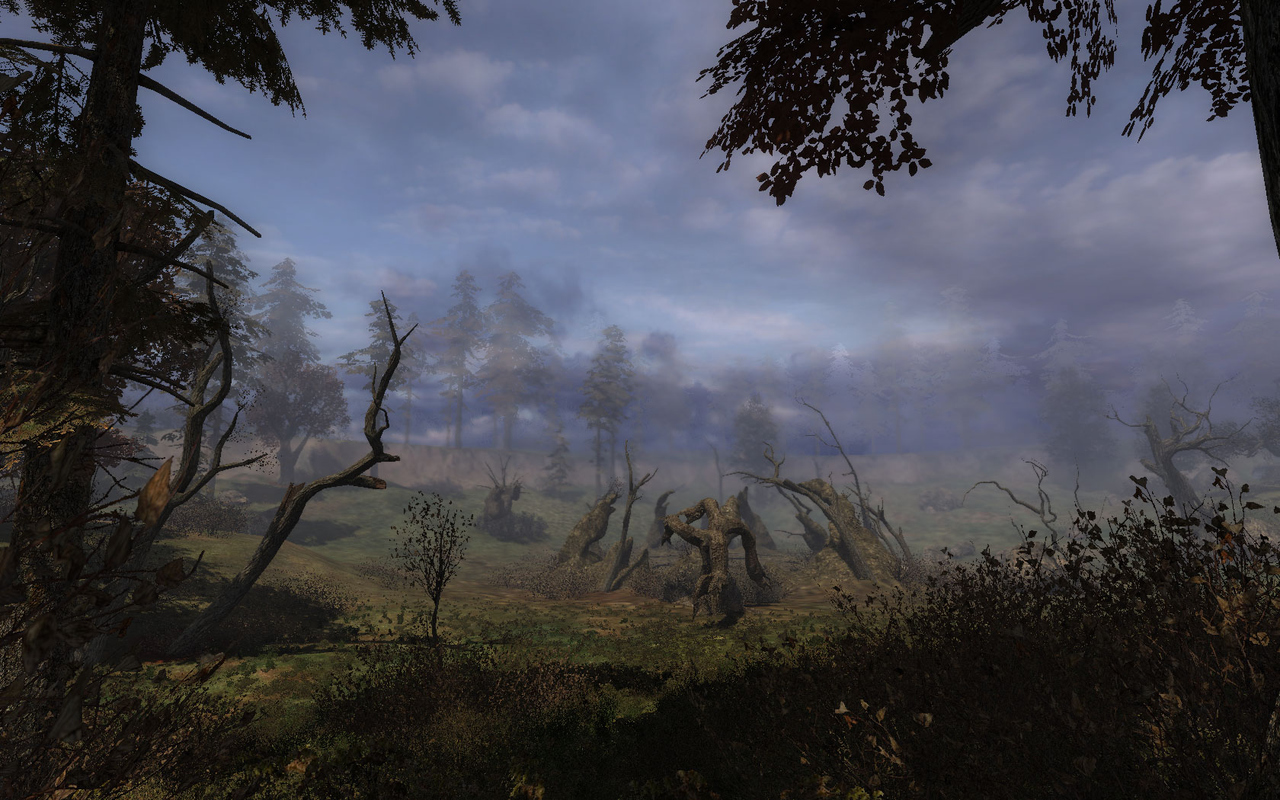 9 images pour STALKER : Clear Sky